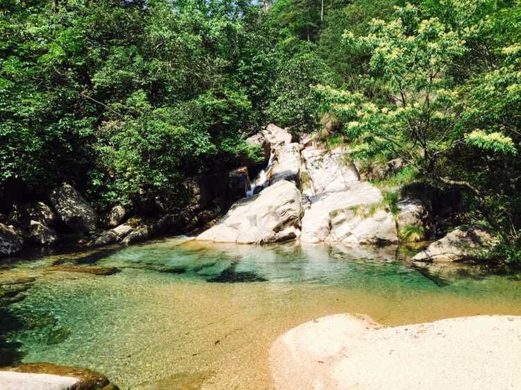 走近你就走进了痛苦出自哪里,走近你就是走近痛苦