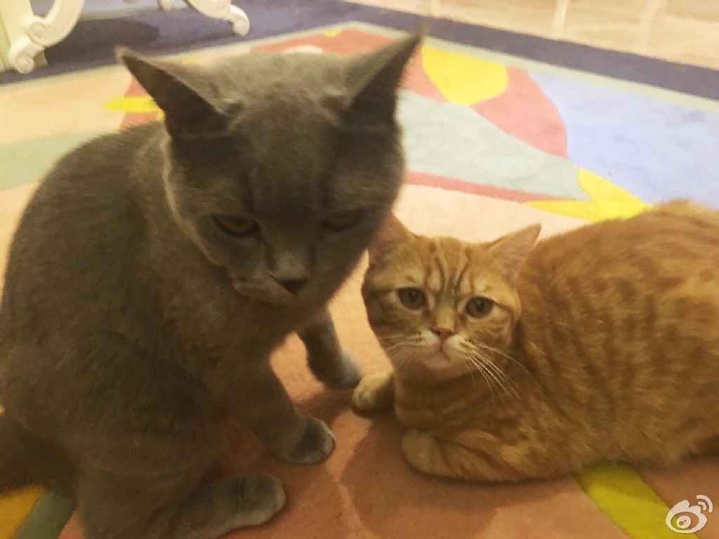 李易峰和王俊凯站一起,李易峰vs王俊凯