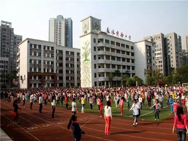 重庆最厉害的5所大学,重庆很厉害的学校