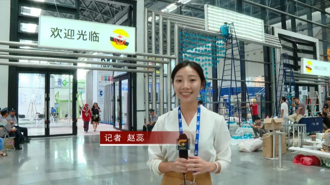 文莱王宫全景图,文莱国王纪念馆视频