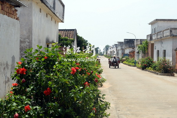 文明润民心新风扑面来,文明新风拂面来乡村焕发新活力
