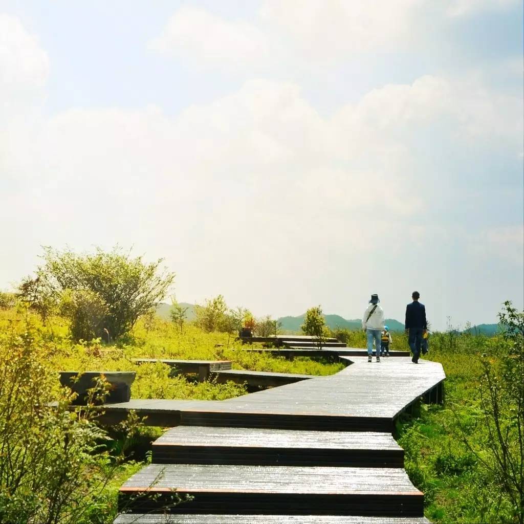 花海相亲会,毕节相亲活动是哪天