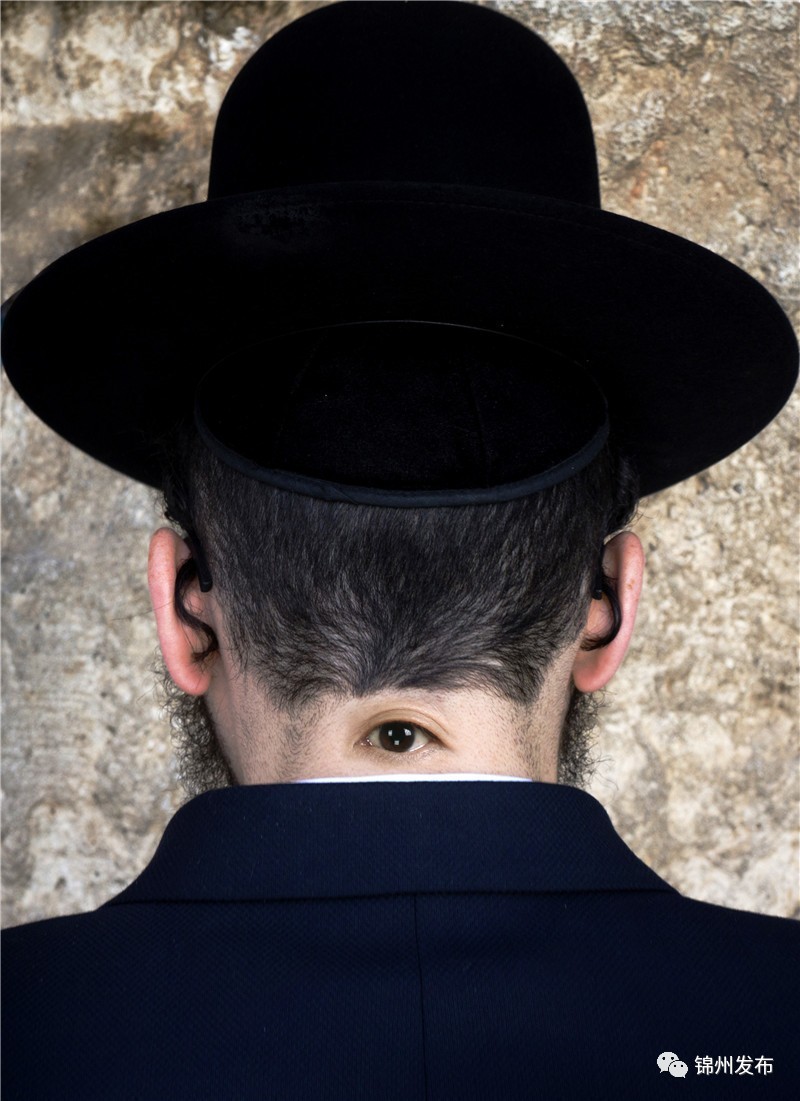 锦州摄影拍鸟,锦州鸟类摄影人