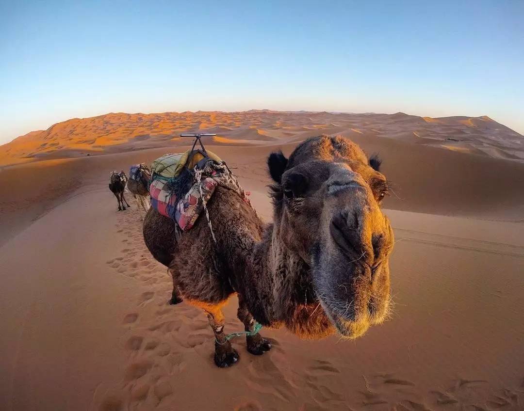 摩洛哥十天九夜自由行攻略 (摩洛哥11月游记)