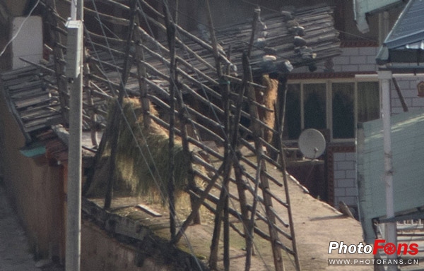 一镜走天下镜头推荐腾龙17-70,一镜走天下腾龙z70-300