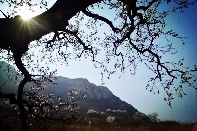 丰润景色好的地方,丰润景色最好的地方