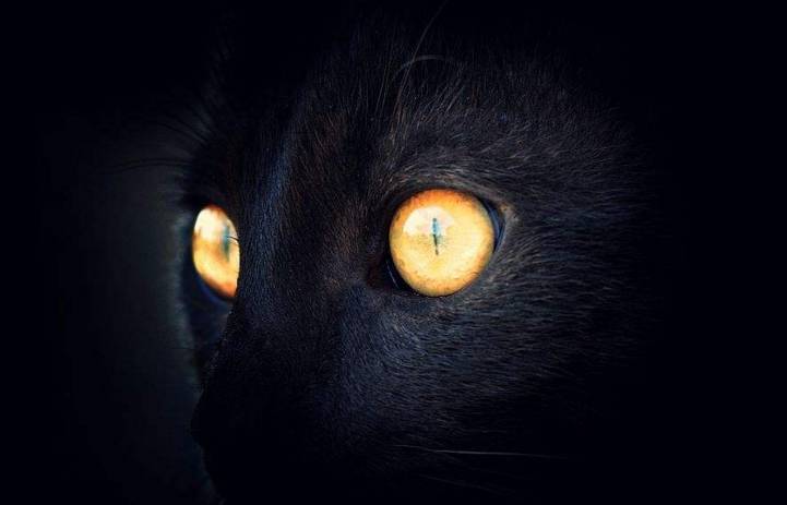 9月11日讯：冰岛居民拒绝外国人投资当地旅游业；石基增持银科环企；瑞安航空推行更严厉行李政策