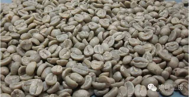 单品咖啡和意式咖啡,咖啡品种科普