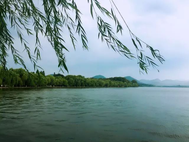 北大女生求职悲欢,北大女生上班一个月辞职