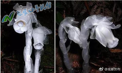 张家口新闻头条11月8日,今晚张家口新闻头条