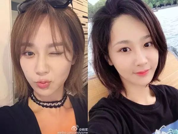 杨紫同款发型短发如何剪,杨紫王菲舒淇