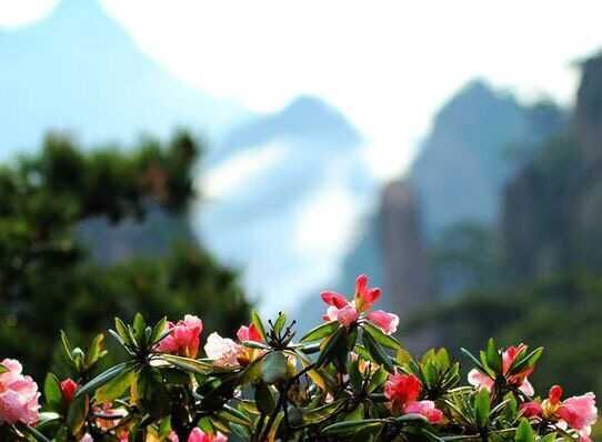 走近你就走进了痛苦出自哪里,走近你就是走近痛苦