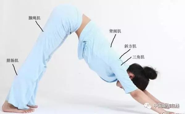 龙式瑜伽经期可以练吗,瑜伽鸽子式经期可以练吗