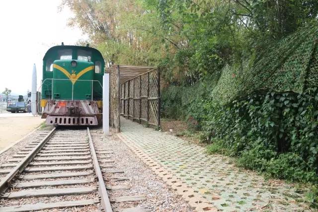 广西最奇特的民宿,广西巴马百魔洞包吃住的民宿