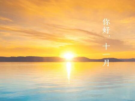 属虎人2018年生肖运势详解,属虎人2018年的运势运程如何