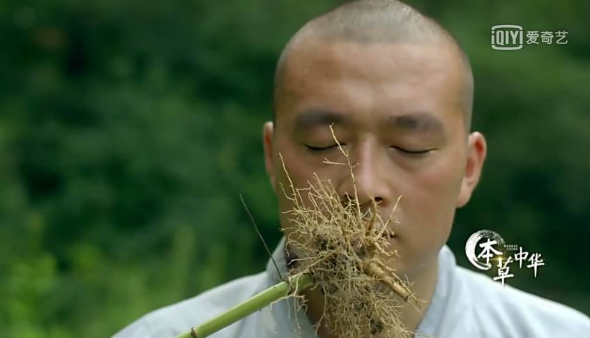 为了看这部豆瓣8.9的纪录片，我去商场买了一台4K电视