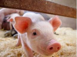 看我逆向小米rom层应用做碎片化适配