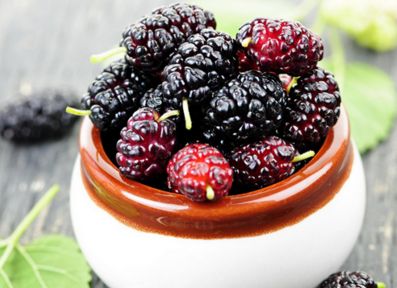 上火可以喝清热解毒的药吗,上火可以喝祛湿茶吗