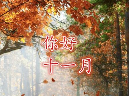 2018年属鼠人的全年运势看看属鼠人2018年运势运程如何