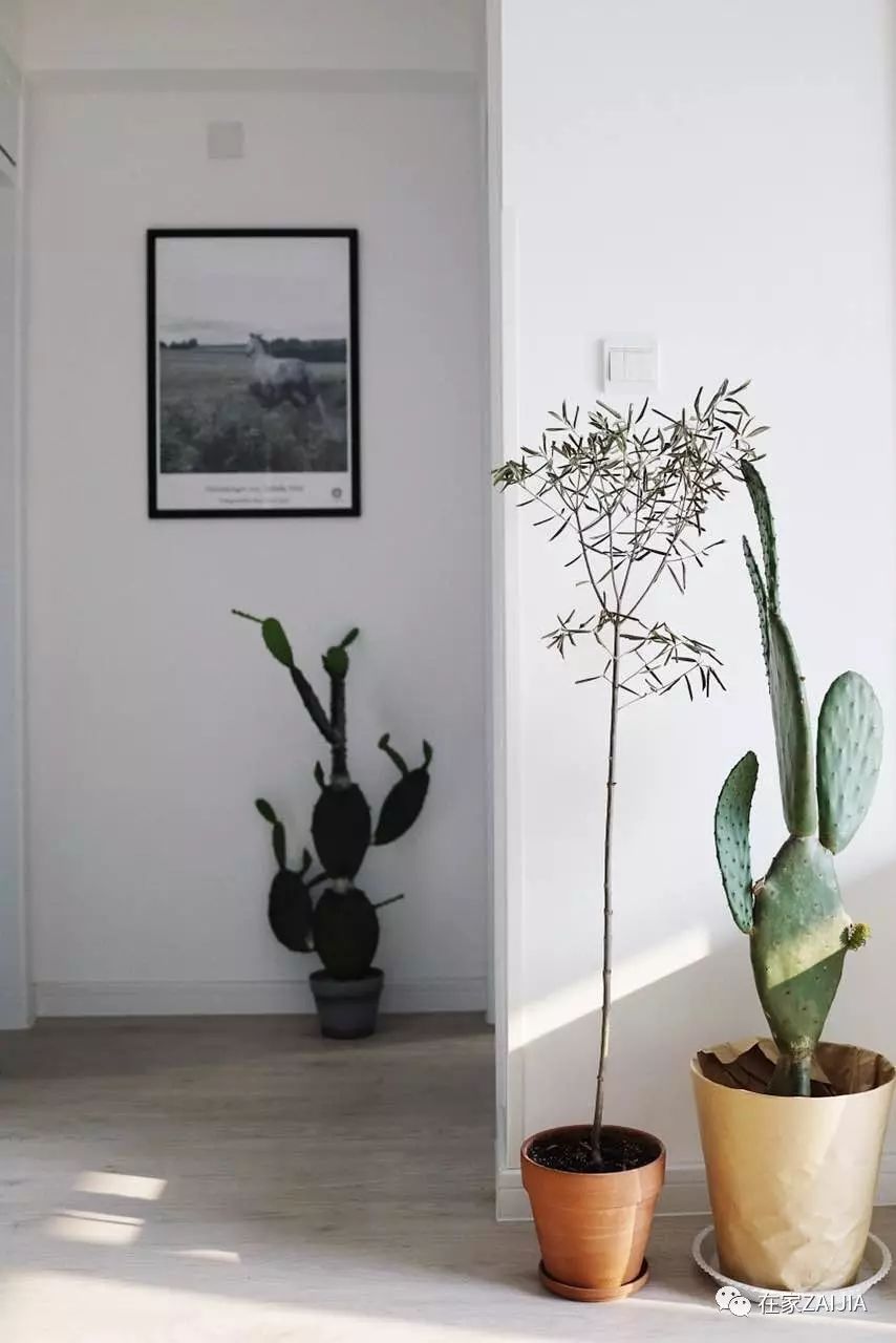 20万预算的装修设计,20万装修预算需要请设计吗