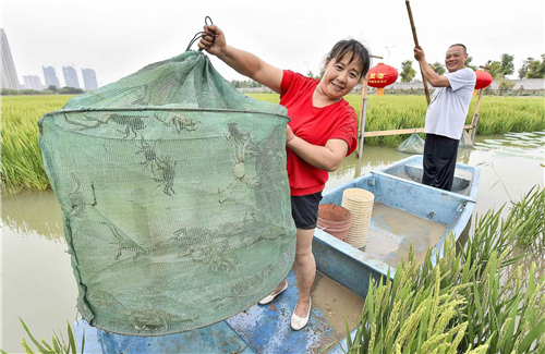 实践丨宗客网卖特产助民富