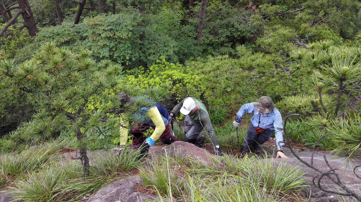 走近你就走进了痛苦出自哪里,走近你就是走近痛苦