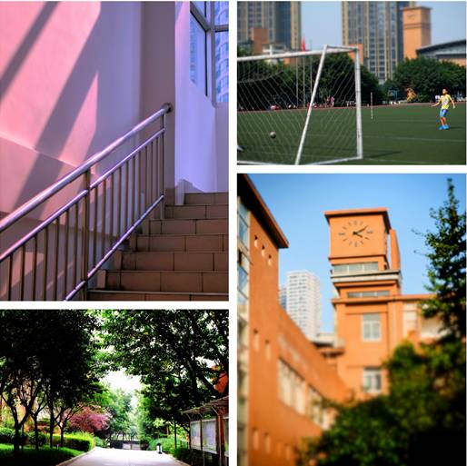 重庆最厉害的5所大学,重庆很厉害的学校