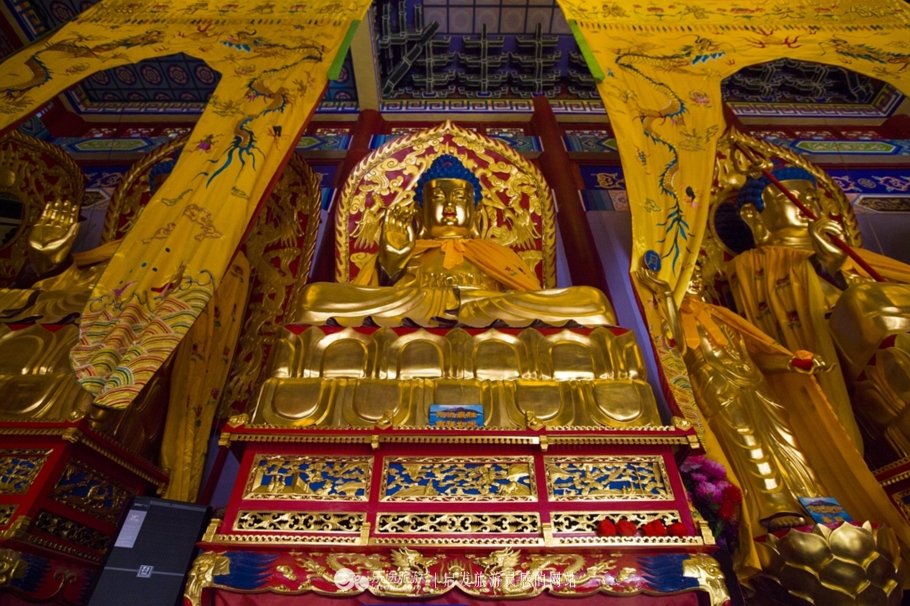 火山口探秘完整视频,镜泊湖地下森林火山口