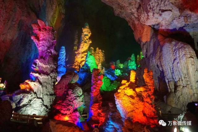 头条丨大家好！我叫巴马，这是我的简历，请多多关照！