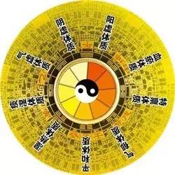 体质虚弱的人喝什么茶最好,湿热体质怎么调理喝什么茶