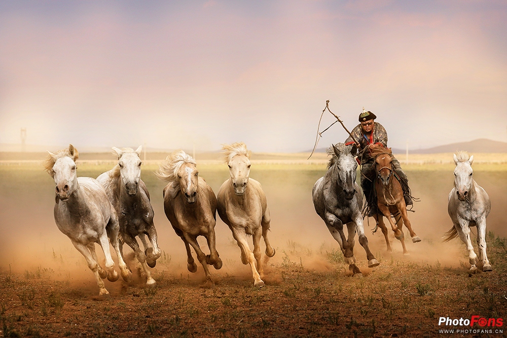 草原奔马拍摄技巧,草原骑马照片怎么拍