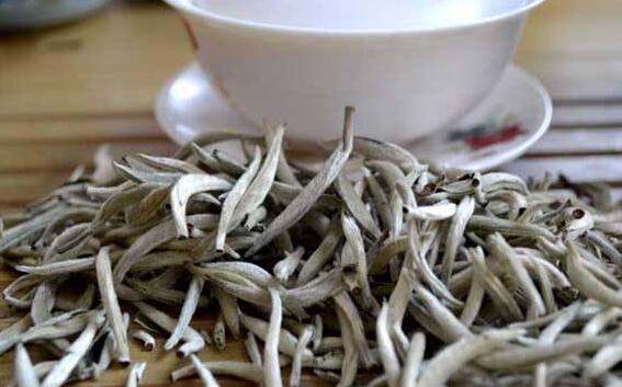 白毫银针是哪里产地,白毫银针的产地