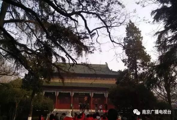 南京国庆人特别多的地方,南京国庆节去哪里玩不挤