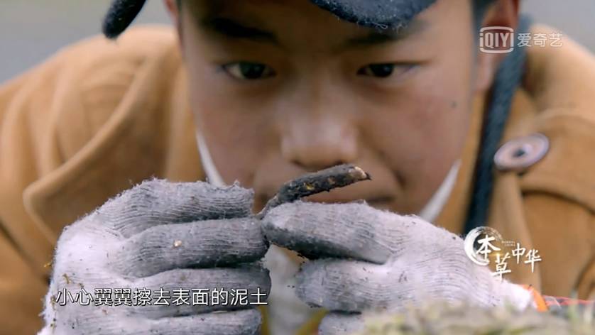 为了看这部豆瓣8.9的纪录片，我去商场买了一台4K电视