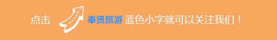 奉贤南桥以前的样子,南桥以前的样子