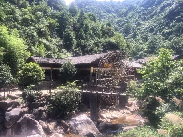 江西暑假大觉山旅游攻略,江西大觉山纯玩高端七日游