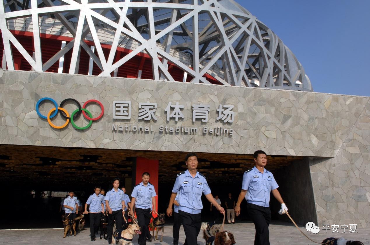 瀹佸鐙楅槦,瀹佸鐙楃嫍澶ч槦