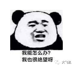 会开飞机的机器人,会开飞机的建筑师