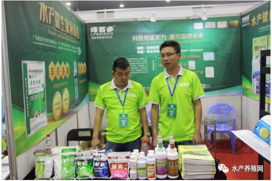 姘翠骇鍏绘畺鍙傚睍浼佷笟,姘翠骇鍔ㄤ繚浼佷笟鑱氶姝︽眽