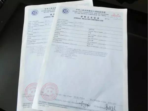 清迈拜县自驾旅游攻略最新,泰国到清迈自驾游最佳路线