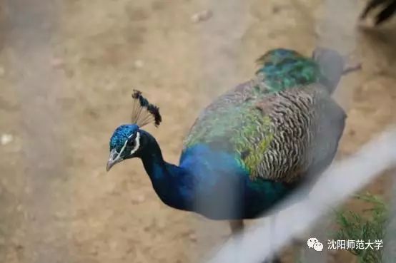 我发现你最近变化很大,3月新规来了这些变化你要知道