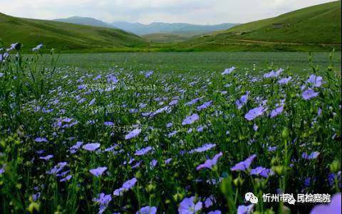 神池月饼从哪里来的,神池月饼历史