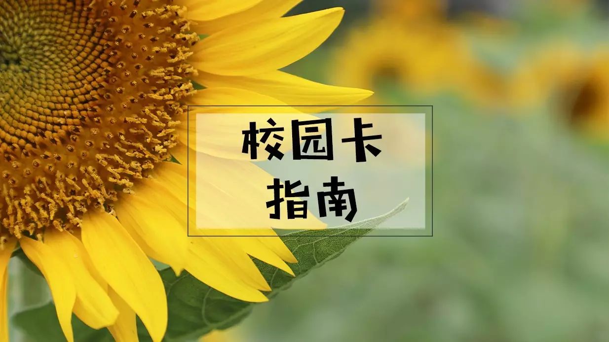 校园卡可以在哪里充值,校园卡在哪充值