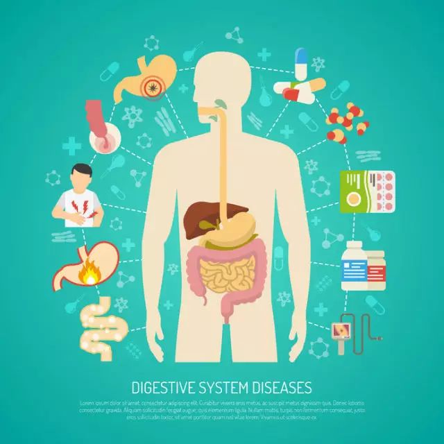 女人不吃早餐的四大好处,吃早餐的好处不吃早餐的坏处