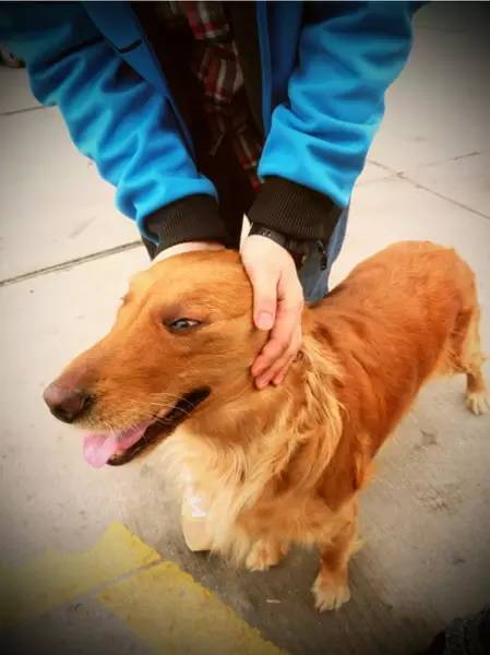 清迈拜县自驾旅游攻略最新,泰国到清迈自驾游最佳路线