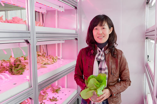 魏灵玲：奔跑在农业科技转化的路上