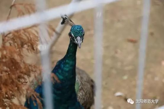 我发现你最近变化很大,3月新规来了这些变化你要知道