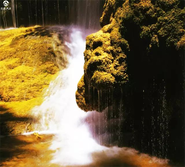 台湾人游黄龙旅游景区,台湾游客游杭州