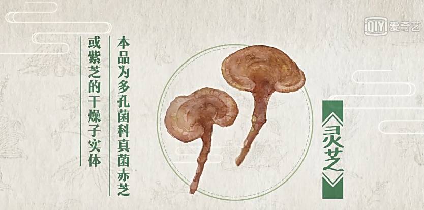 为了看这部豆瓣8.9的纪录片，我去商场买了一台4K电视
