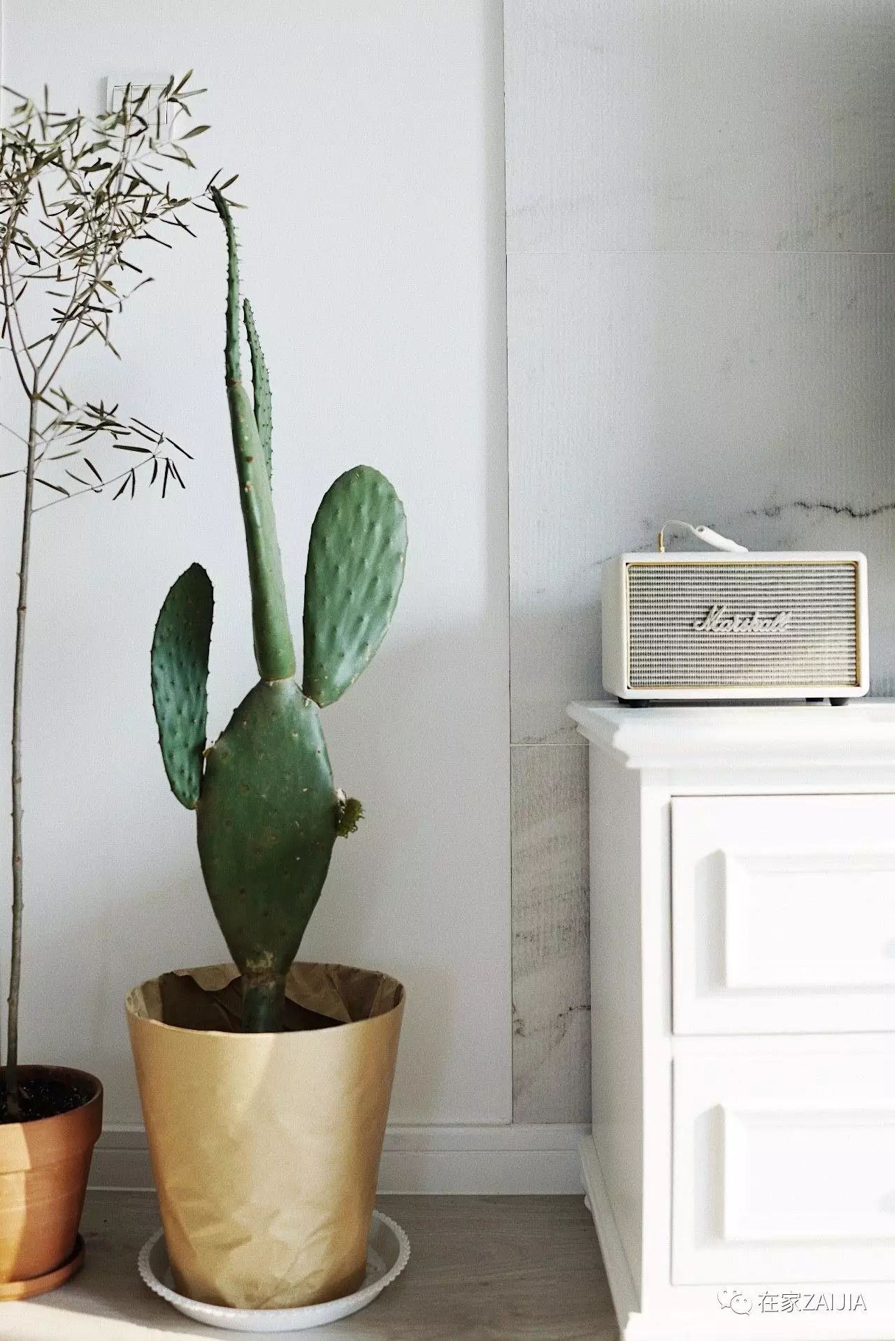 20万预算的装修设计,20万装修预算需要请设计吗